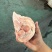 前肘6-7个头后肘6-7个头