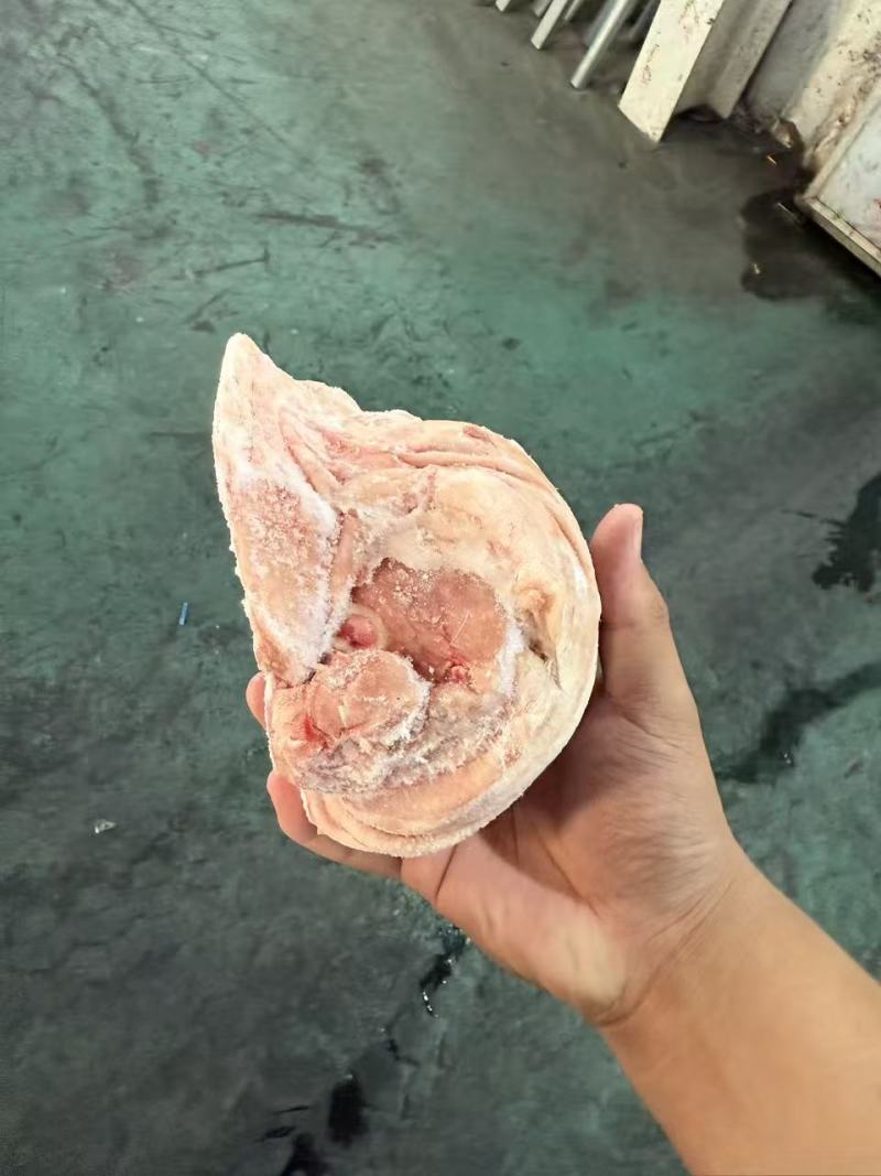 前肘6-7个头后肘6-7个头