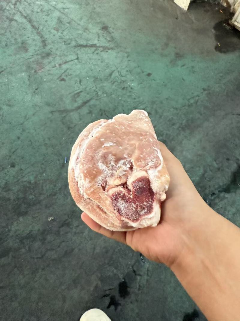 前肘6-7个头后肘6-7个头