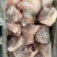前肘6-7个头后肘6-7个头