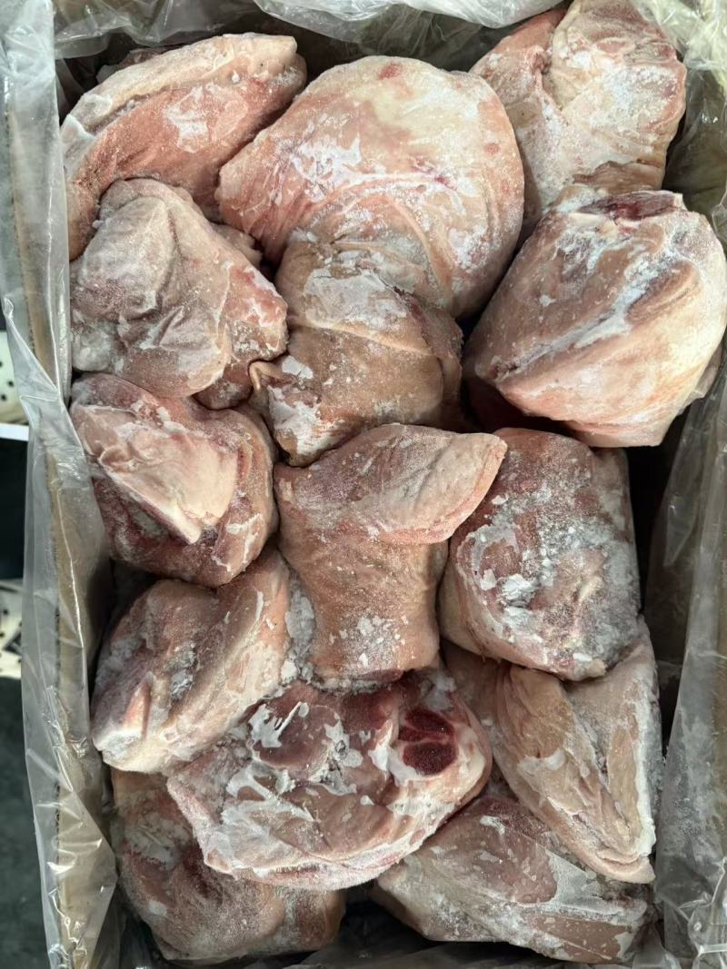 前肘6-7个头后肘6-7个头