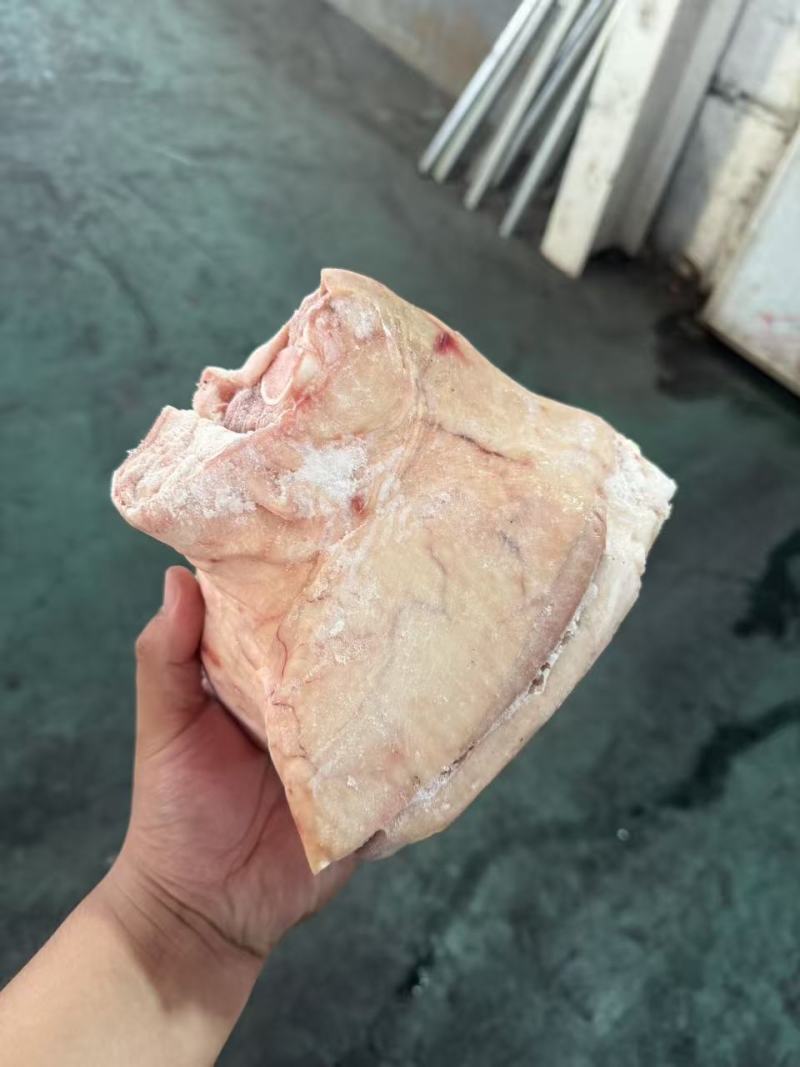 前肘6-7个头后肘6-7个头