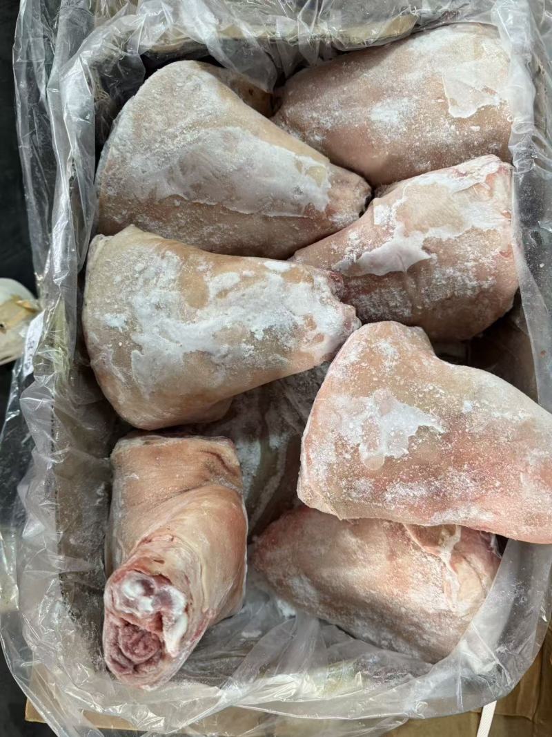 前肘6-7个头后肘6-7个头