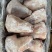 前肘6-7个头后肘6-7个头