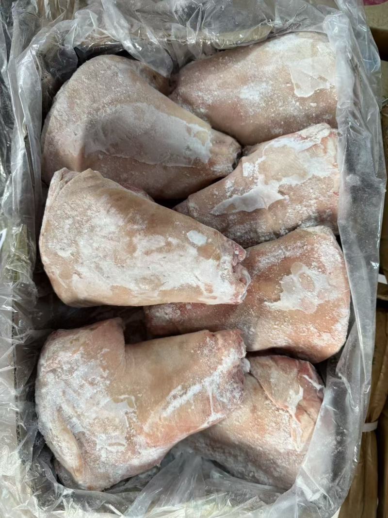 前肘6-7个头后肘6-7个头