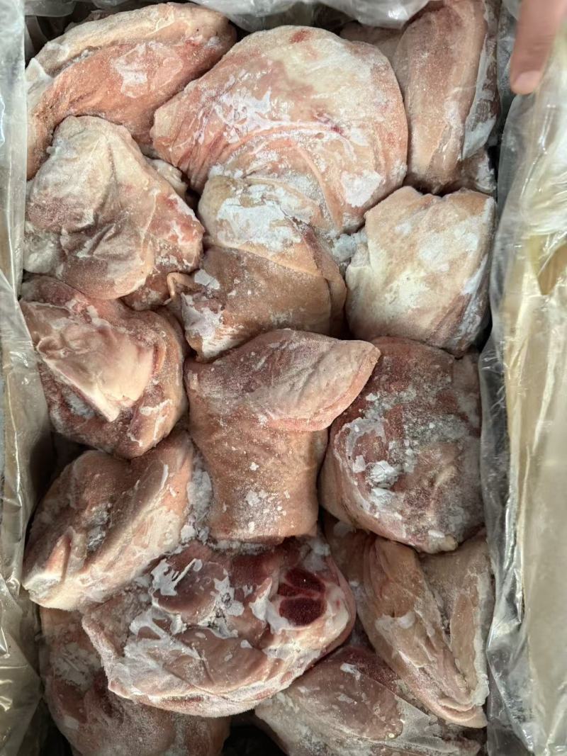 前肘6-7个头后肘6-7个头