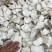 海南虎乳菌切片大片大量批发厂家直销一手货源