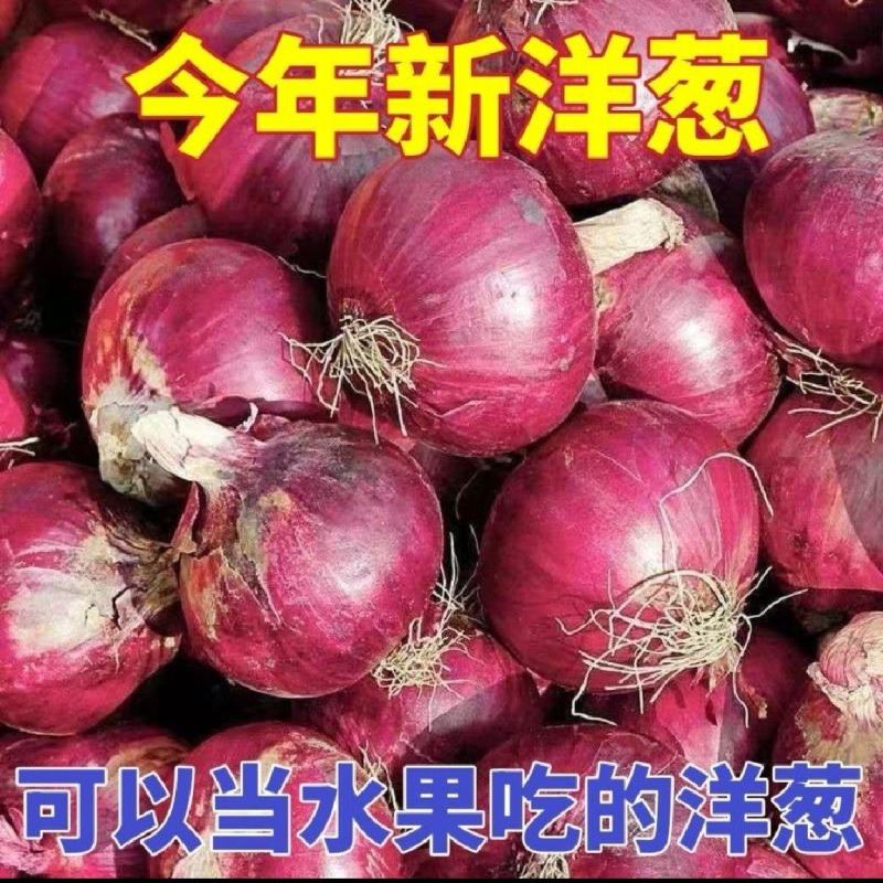 今年新洋葱，特级货
