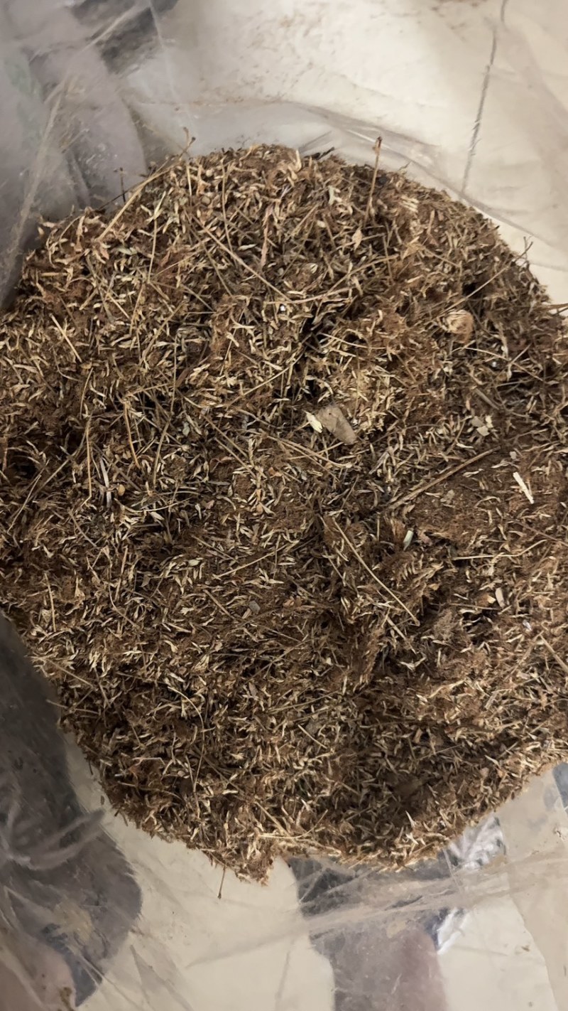 合欢花有货