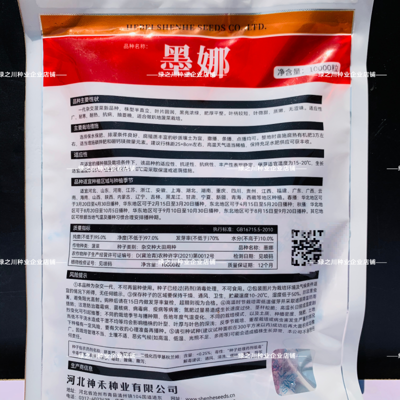 墨娜趴地菠菜种子杂交菠菜种子黑亮浓绿菠菜种籽质嫩微甜不涩