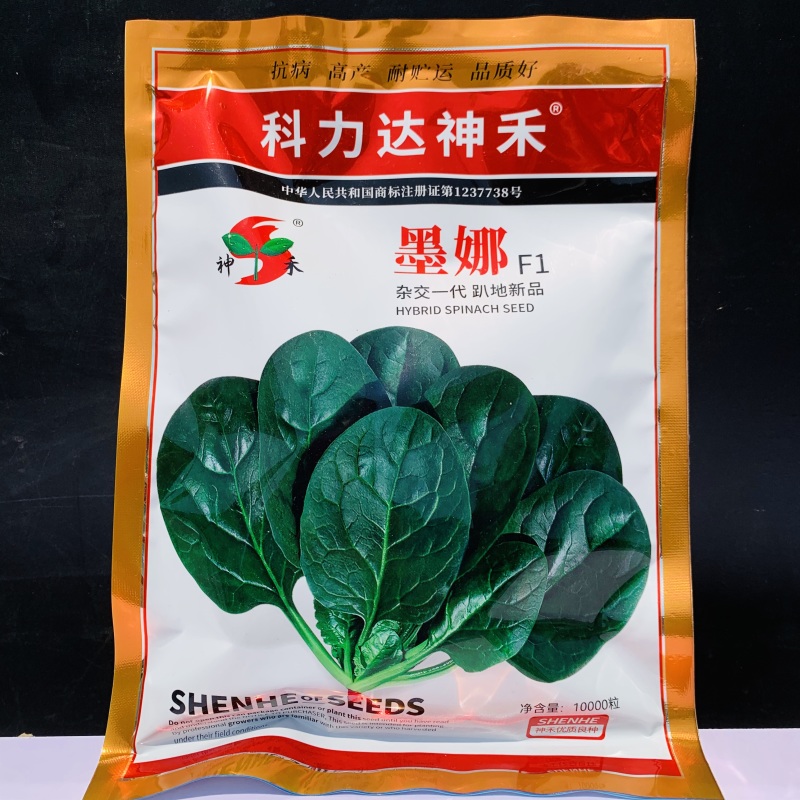 墨娜趴地菠菜种子杂交菠菜种子黑亮浓绿菠菜种籽质嫩微甜不涩
