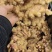 精选大黄姜山东产地直发带泥/水洗/风干/窖藏按需加工