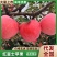 正宗山东红星苹果现摘品质保证量大从优代发全国