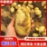 精品土豆黄皮黄心荷兰十五土豆产地直发可视频看货