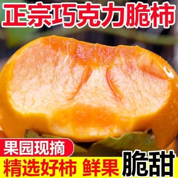 《一件代发》脆柿巧克力脆柿对接抖音快手视频号淘宝拼多多等