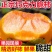 《一件代发》脆柿巧克力脆柿对接抖音快手视频号淘宝拼多多等