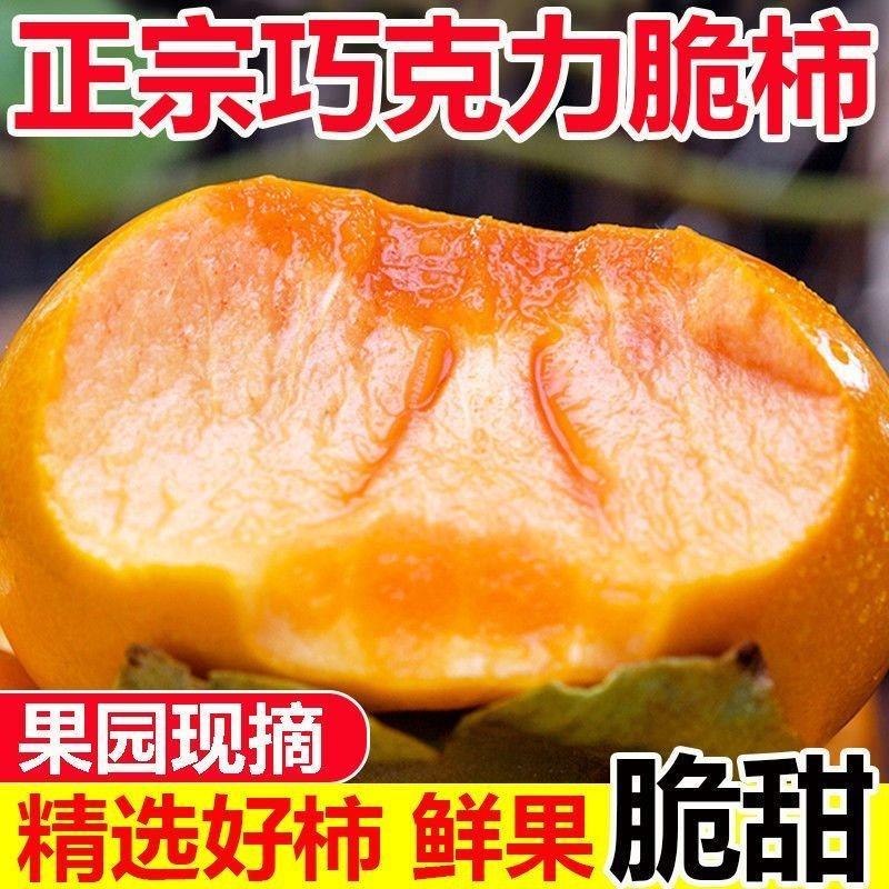 《一件代发》脆柿巧克力脆柿对接抖音快手视频号淘宝拼多多等