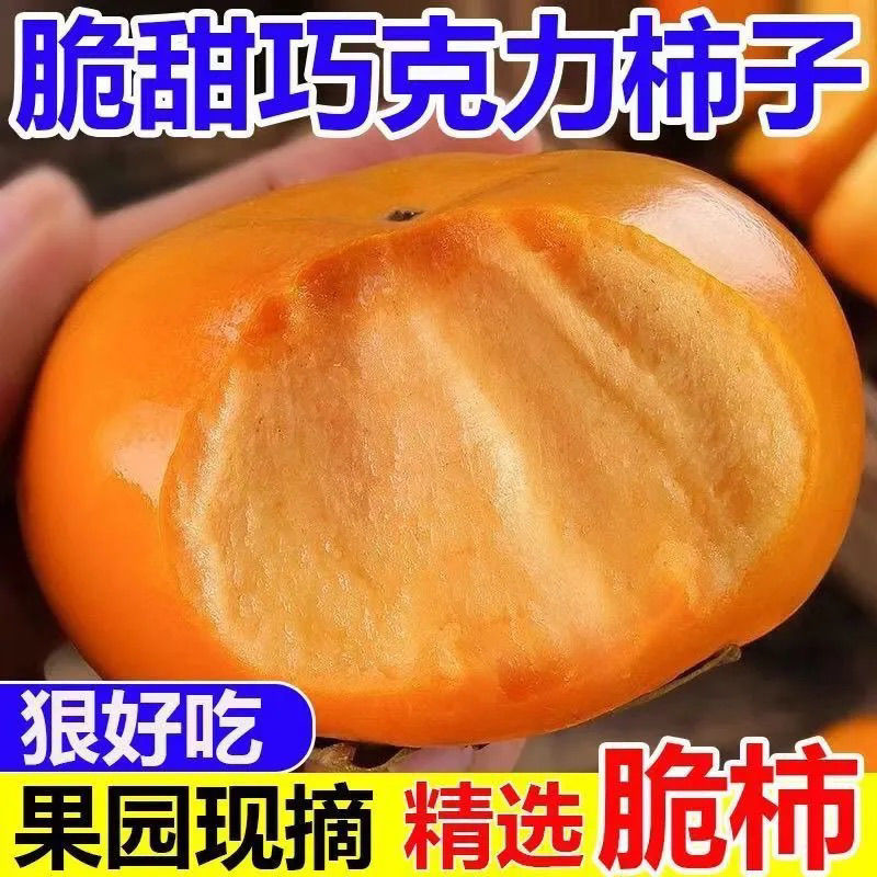《一件代发》脆柿巧克力脆柿对接抖音快手视频号淘宝拼多多等