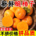 《一件代发》脆柿巧克力脆柿对接抖音快手视频号淘宝拼多多等