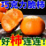 《一件代发》脆柿巧克力脆柿对接抖音快手视频号淘宝拼多多等