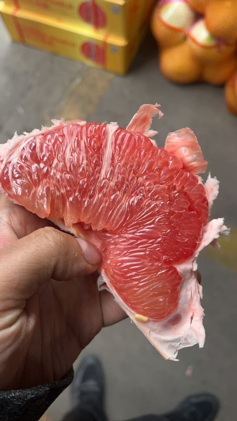 精品套袋三红蜜柚