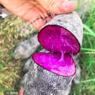赣南紫山药富含花青素和硒元素（不含运费）