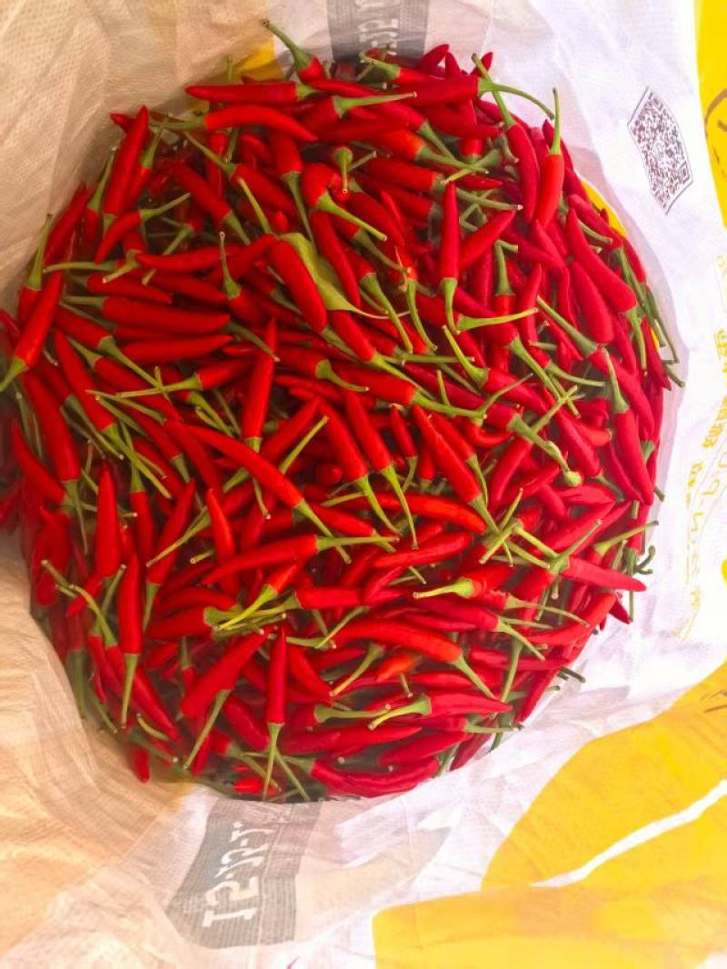 新鲜辣椒