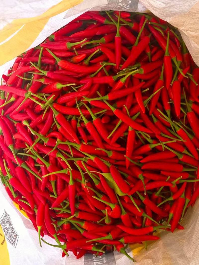 新鲜辣椒