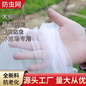 防虫网40-60-80目家庭园艺用网龙泽电商代发一件代发