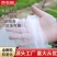 防虫网40-60-80目家庭园艺用网龙泽电商代发一件代发