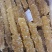 甘肃老冰糖，价格便宜，大货对接，