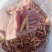 入蜇大头黄，豆虫
