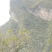 高山纯正土蜂蜜
