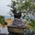 高山纯正土蜂蜜