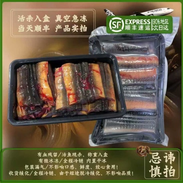鳝鱼鳝鱼片黄鳝片当天活杀直供餐饮达人供应链