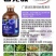 生物杀菌剂广谱速效真细病毒通杀疏通植物细胞以菌治菌
