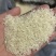 彭州新米（小香米）