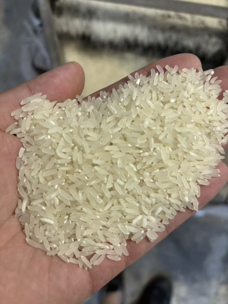 彭州新米（小香米）