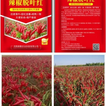 辣椒脱叶红脱叶剂落叶快红的早只落叶不结果厂家直发量大从优