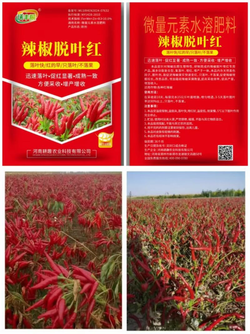 辣椒脱叶红脱叶剂落叶快红的早只落叶不结果厂家直发量大从优