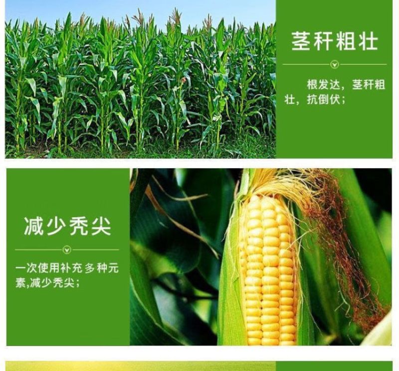 玉米叶面肥促长膨大素生根壮苗壮杆绿叶控旺缩节
