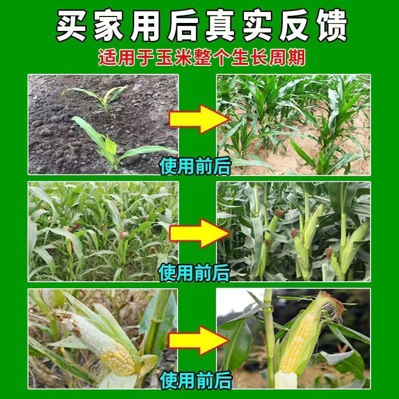 玉米叶面肥促长膨大素生根壮苗壮杆绿叶控旺缩节