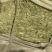 甘肃酒泉优质甜叶菊叶有需要的采购请联系