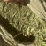 甘肃酒泉优质甜叶菊叶有需要的采购请联系