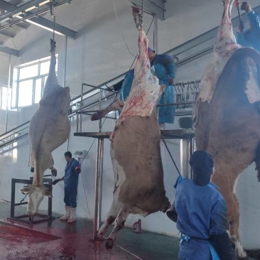 内蒙古牛肉制品大量接单产地直发量大从优欢迎来电