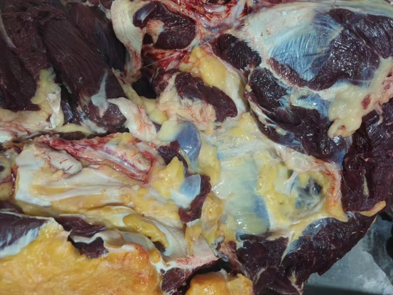 内蒙古牛肉制品大量接单产地直发量大从优欢迎来电