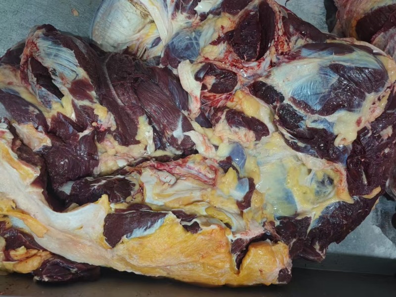 内蒙古牛肉制品大量接单产地直发量大从优欢迎来电
