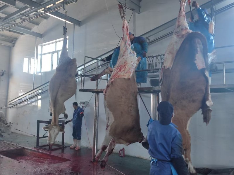 内蒙古牛肉制品大量接单产地直发量大从优欢迎来电