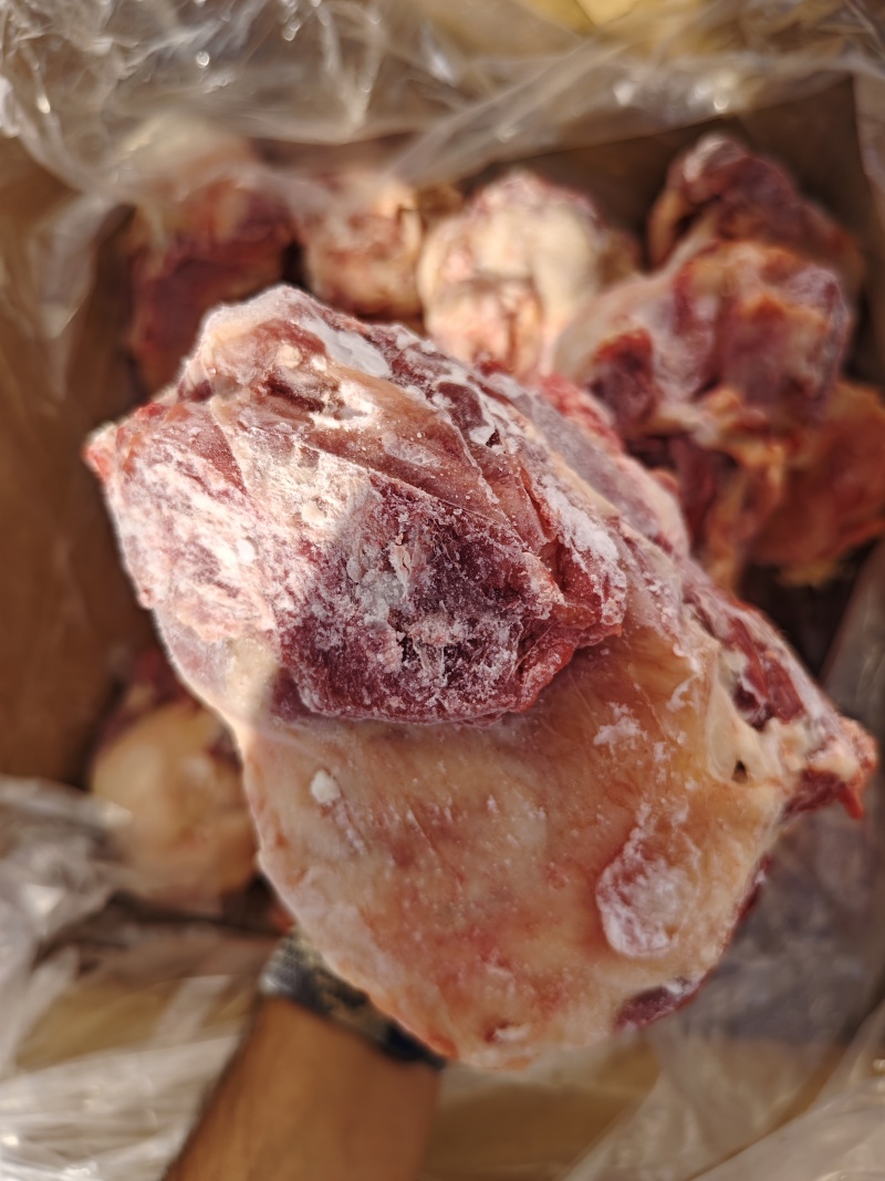肉牛棒骨，锡盟屠宰场工厂直销，保质保量，全国发货