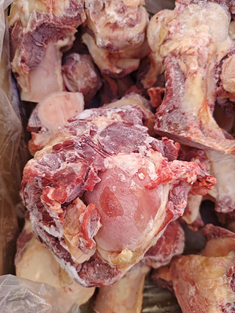 肉牛棒骨，锡盟屠宰场工厂直销，保质保量，全国发货